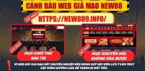 New88 Cảnh Báo Lừa Đảo